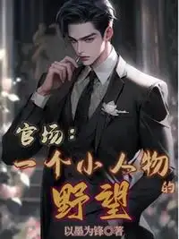 官场:一个小人物的野望