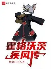 霍格沃茨疾风传