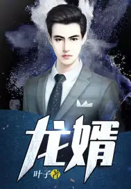 龙婿(完本)