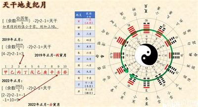 五行缺木取名指南：品牌名字精选