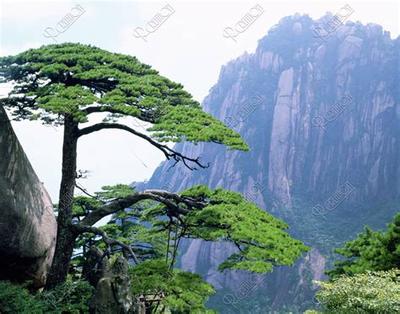 五月入宅黄道吉日一览表