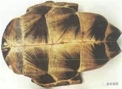 2026年塔罗运势：15张关键牌解读