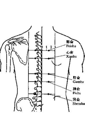 紫微斗数入门：从零开始学紫微斗数